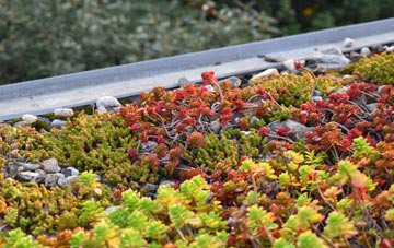 the cost of Garth green roof installation